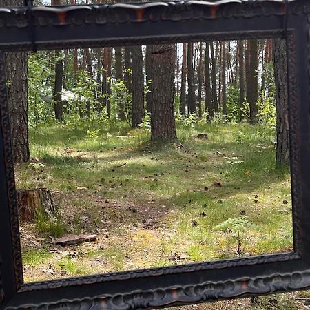 Góra Spokoju Osada klimatyczna-leśna Inowlodz Exterior foto