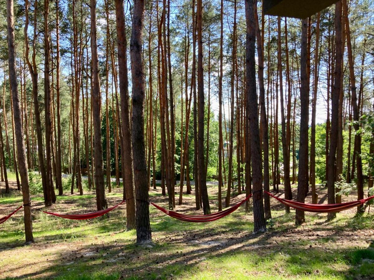 Góra Spokoju Osada klimatyczna-leśna Inowlodz Exterior foto